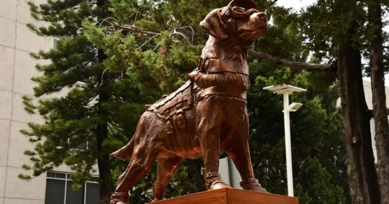 Semar rinde homenaje a ‘Frida’, perrita rescatista