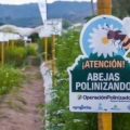Syngenta transforma el campo mexicano con innovación regenerativa